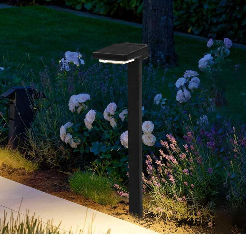 Lumières à LED à énergie solaire avec allumage/arrêt automatique 6 pièces LED IP65 étanche