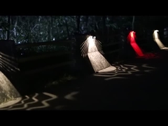 Lumières solaires KF14A de mur de jardin