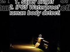 lumières actionnées solaires de capteur de mouvement de LED