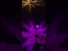 Paysage imperméable du niveau du sol IP65 allumant les lumières actionnées solaires de paysage