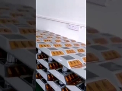 Goujon solaire durable imperméable de route de pilier pour la sécurité de voie